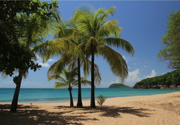 Guadeloupe juin 2011