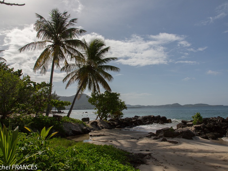 Martinique2013-106