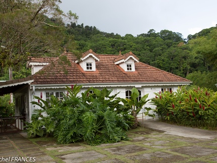 Martinique2013-149