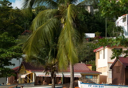 Martinique2013-154