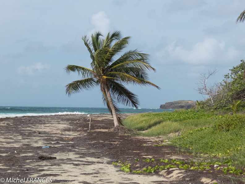 Martinique2013-164.jpg