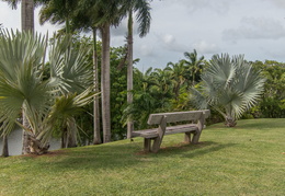 Martinique2013-171