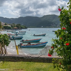 Martinique2013-188