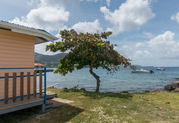 Martinique2013-189