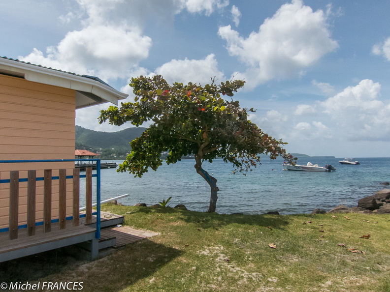 Martinique2013-189.jpg