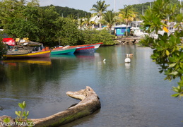 Martinique2013-198