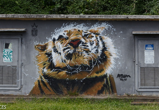 Street art : en Polynésie aussi - display this album Street art : en Polynésie aussi