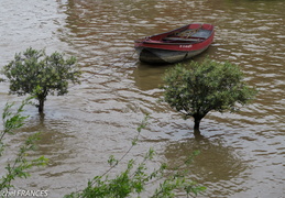 La Seine en crue - juin 2016