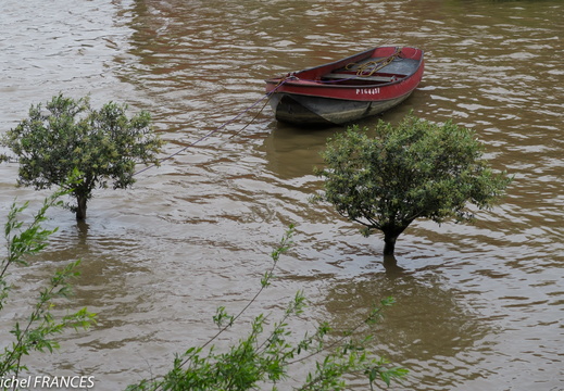 La Seine en crue - juin 2016 - montre les photos à la racine de cet album La Seine en crue - juin 2016