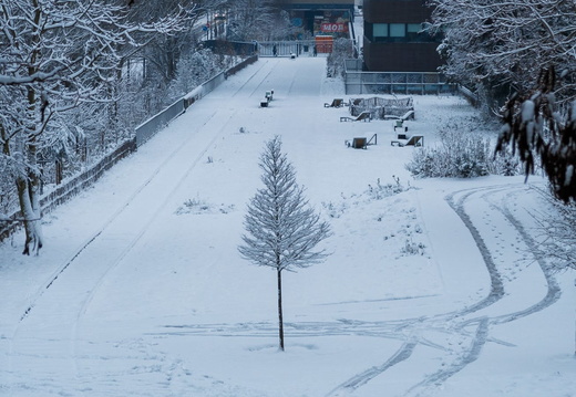 Crue et neige - display this album Crue et neige