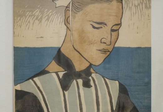 La nouvelle vague des estampes japonaises - montre les photos à la racine de cet album La nouvelle vague des estampes japonaises