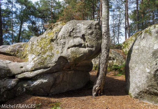 Randonnée des rochers dans la forêt de Fontainebleau - display this album Randonnée des rochers dans la forêt de Fontainebleau