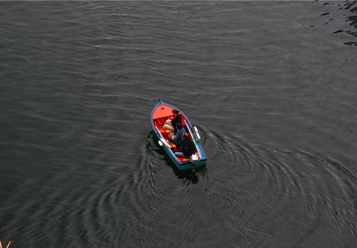 IMG 6940.JPG
