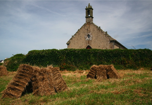 IMG 7017.JPG