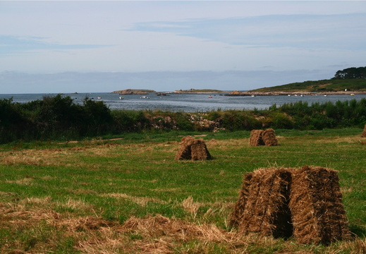 IMG 7019.JPG