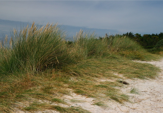 IMG 7020.JPG