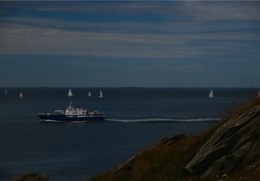 IMG 7058.JPG