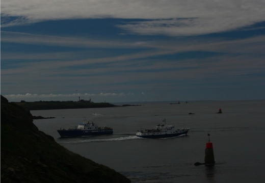 IMG 7061.JPG