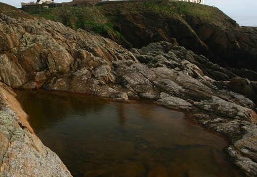 IMG 6648.JPG