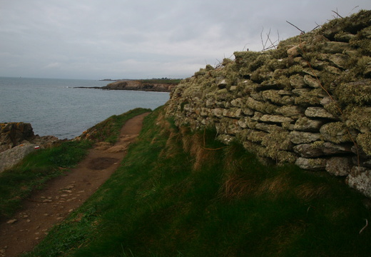 IMG 6651.JPG
