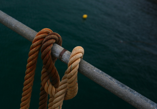 IMG 6656.JPG