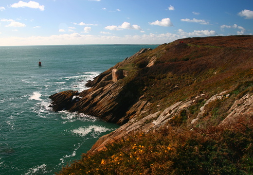 IMG 6742.JPG