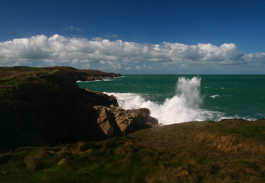 IMG 6752.JPG