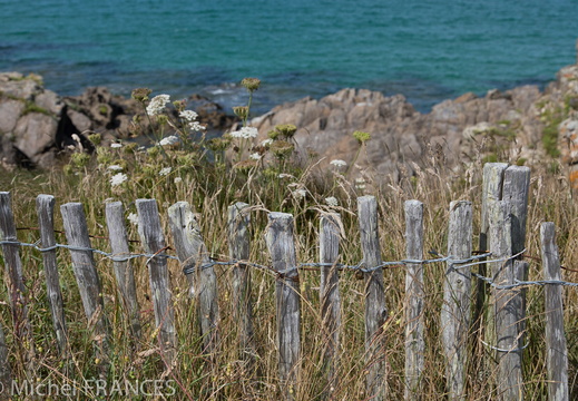 Bretagne-aout13-111