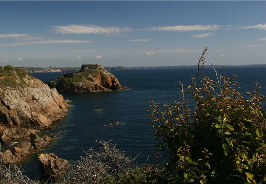IMG 7356.JPG