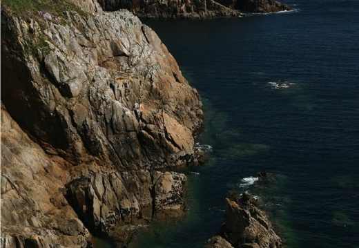 IMG 7357.JPG