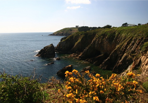 IMG 7361.JPG