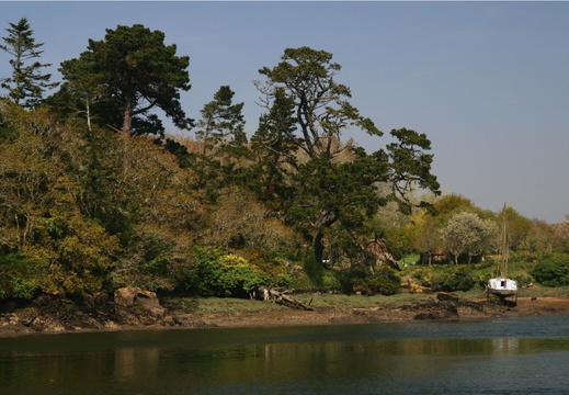 IMG 7407.JPG