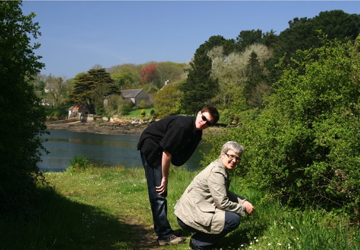 IMG 7411.JPG