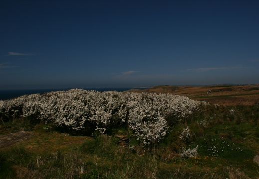IMG 8613