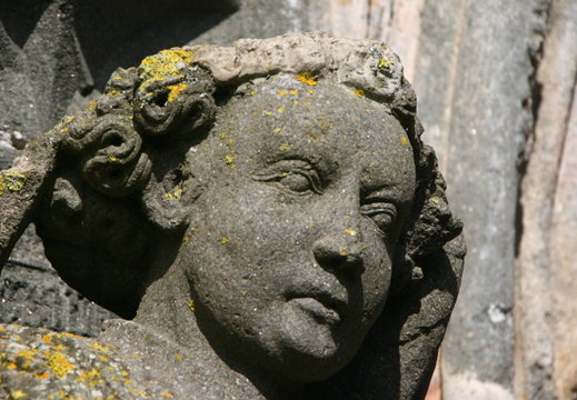 IMG 8757
