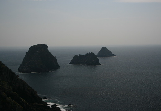 IMG 8874