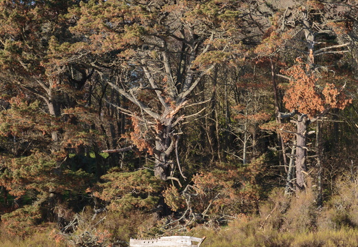 Bretagne avril 2014-128