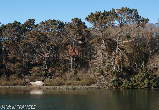 Bretagne avril 2014-129