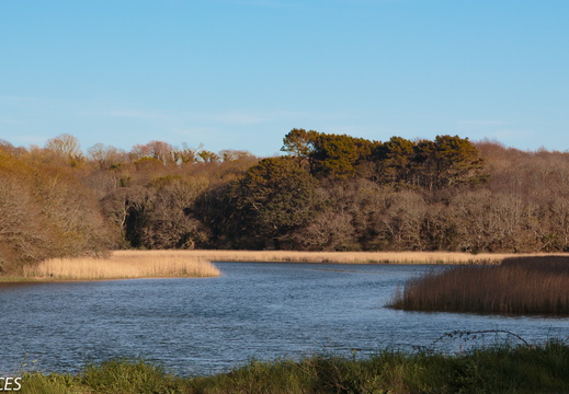 Bretagne avril 2014-131