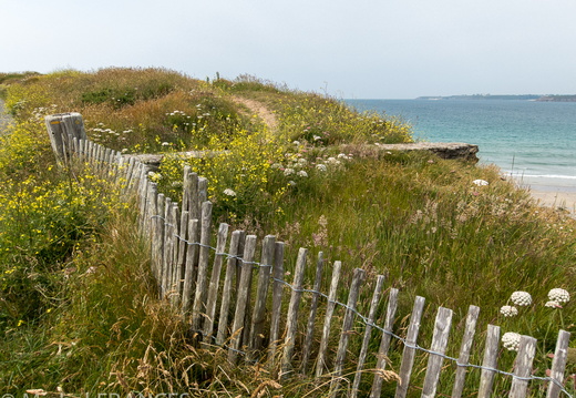 bretagne juin 13-102
