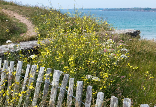 bretagne juin 13-103