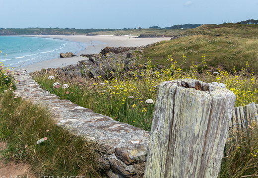 bretagne juin 13-104