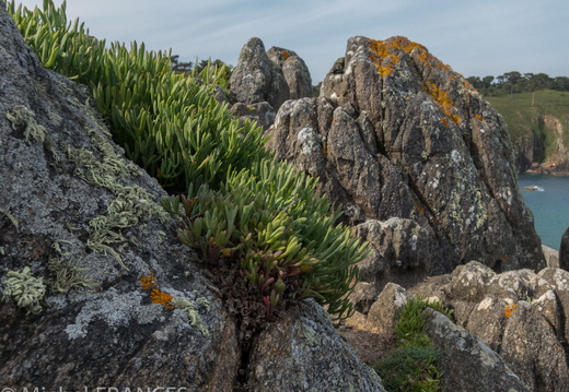bretagne juin 13-116