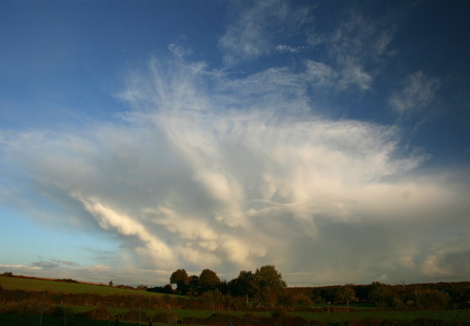IMG 8093-small.JPG
