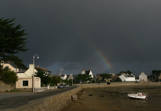 IMG 8202-small.JPG