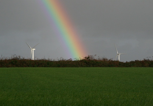 IMG 8204-small.JPG