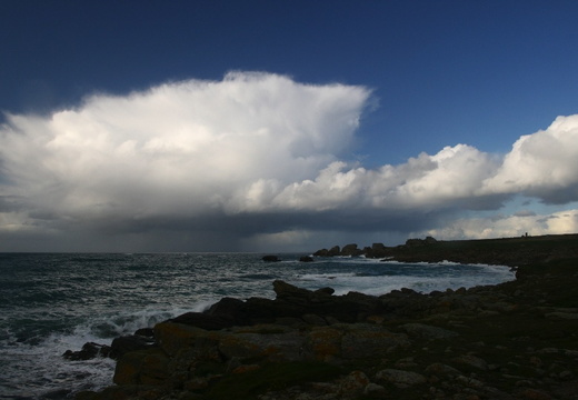 IMG 7174.JPG