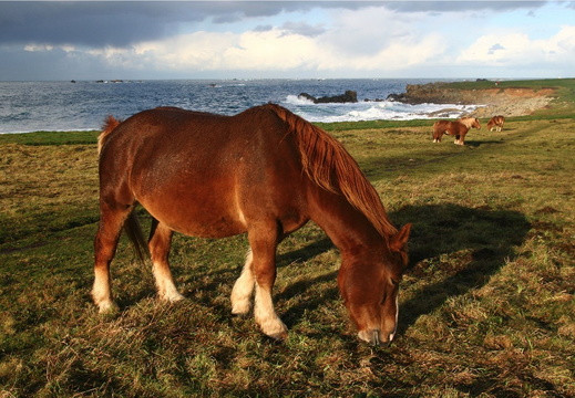 IMG 7179.JPG