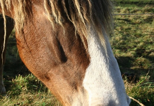 IMG 7180.JPG