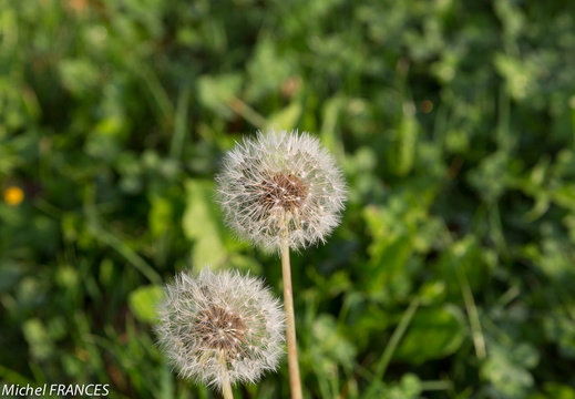 Bretagne-septembre-2013-18